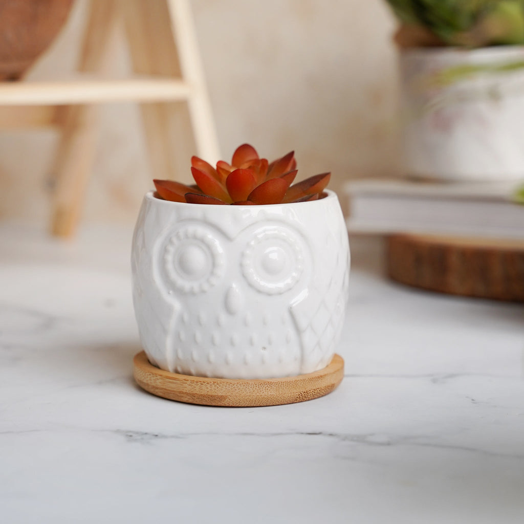 Owl Ceramic Pot
