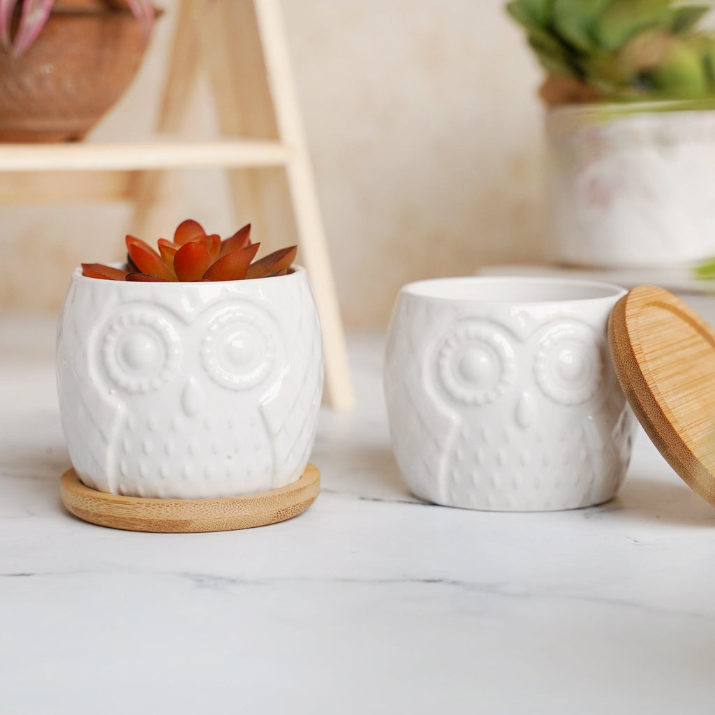 Owl Ceramic Pot