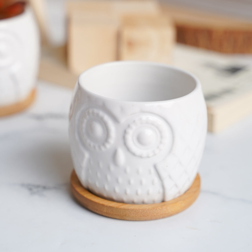 Owl Ceramic Pot