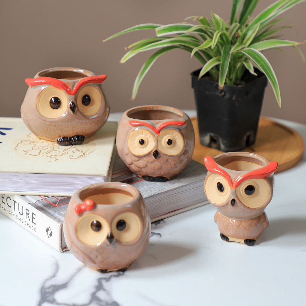 Owl Planter