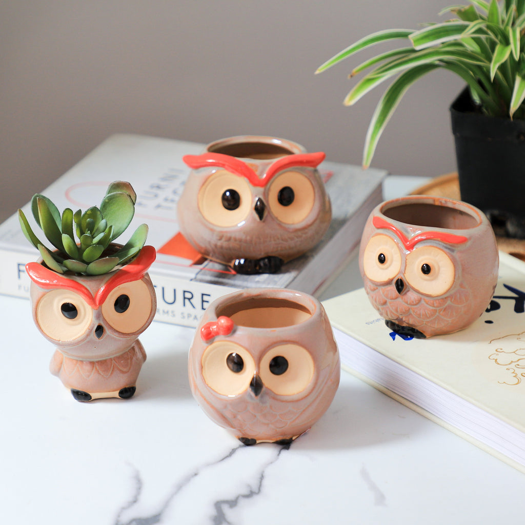 Owl Planter