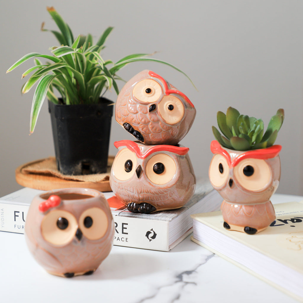 Owl Planter