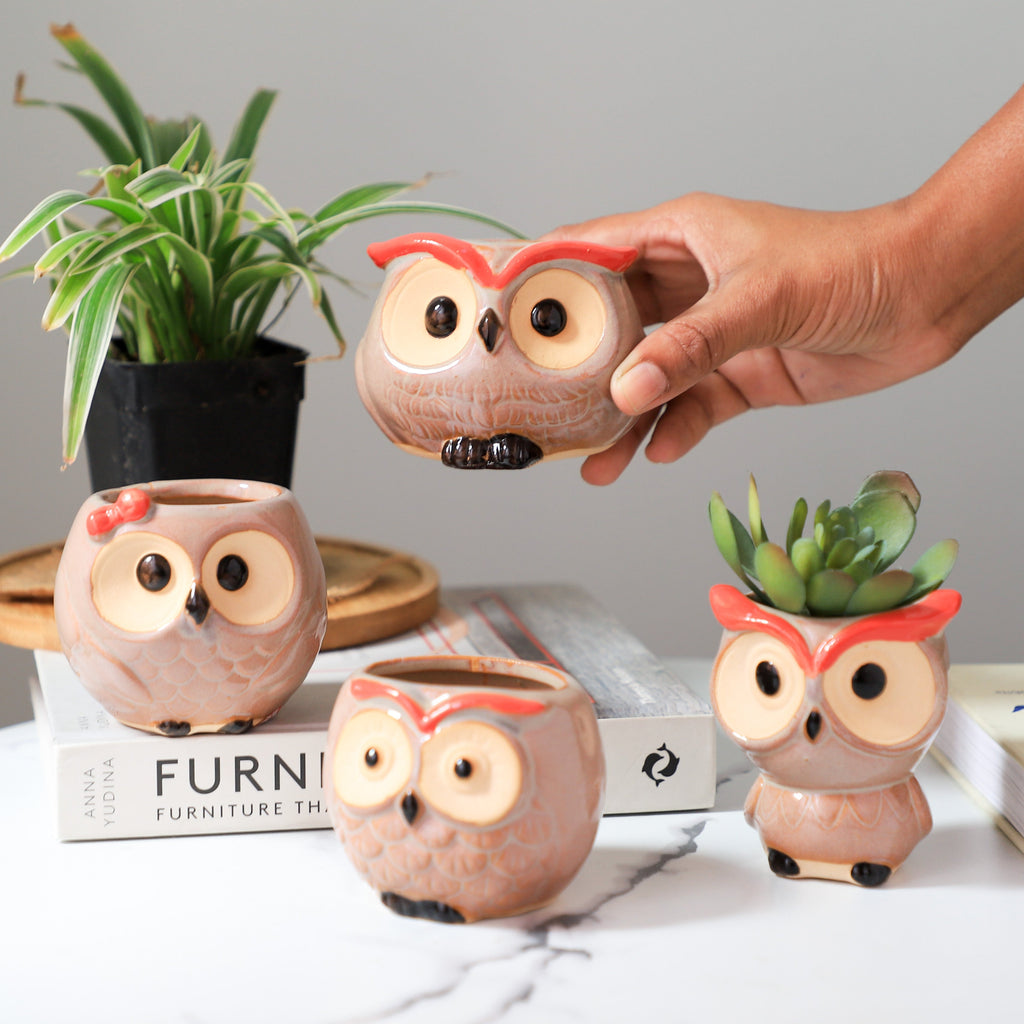 Owl Planter