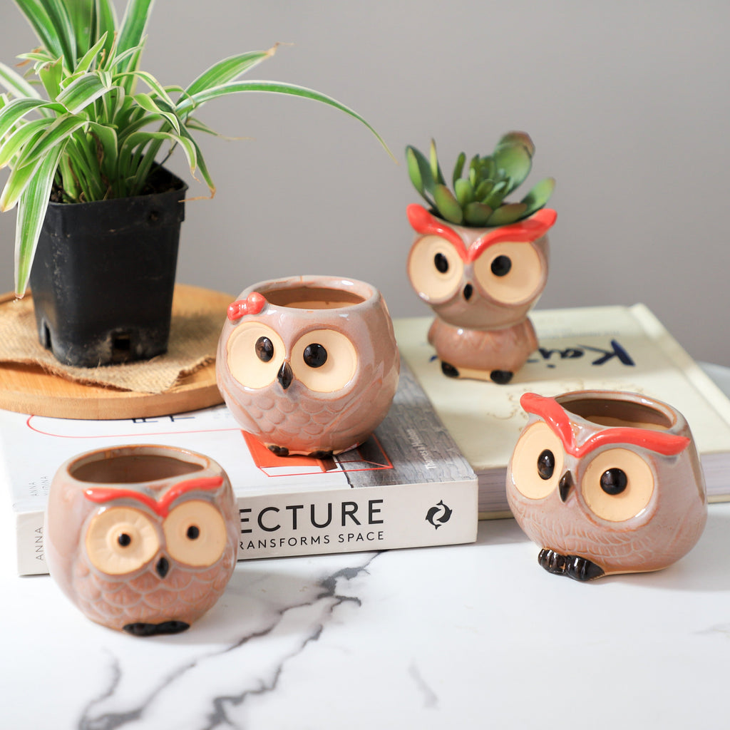 Owl Planter