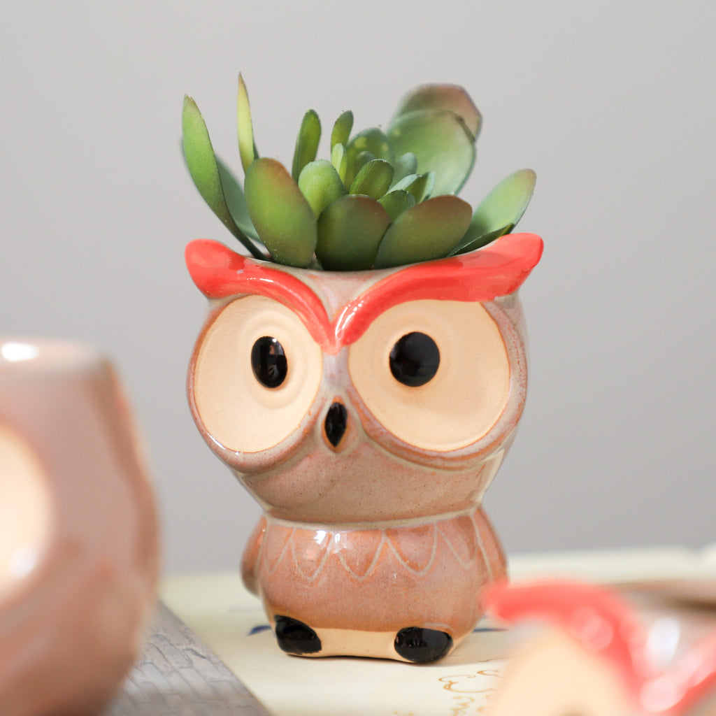 Owl Planter