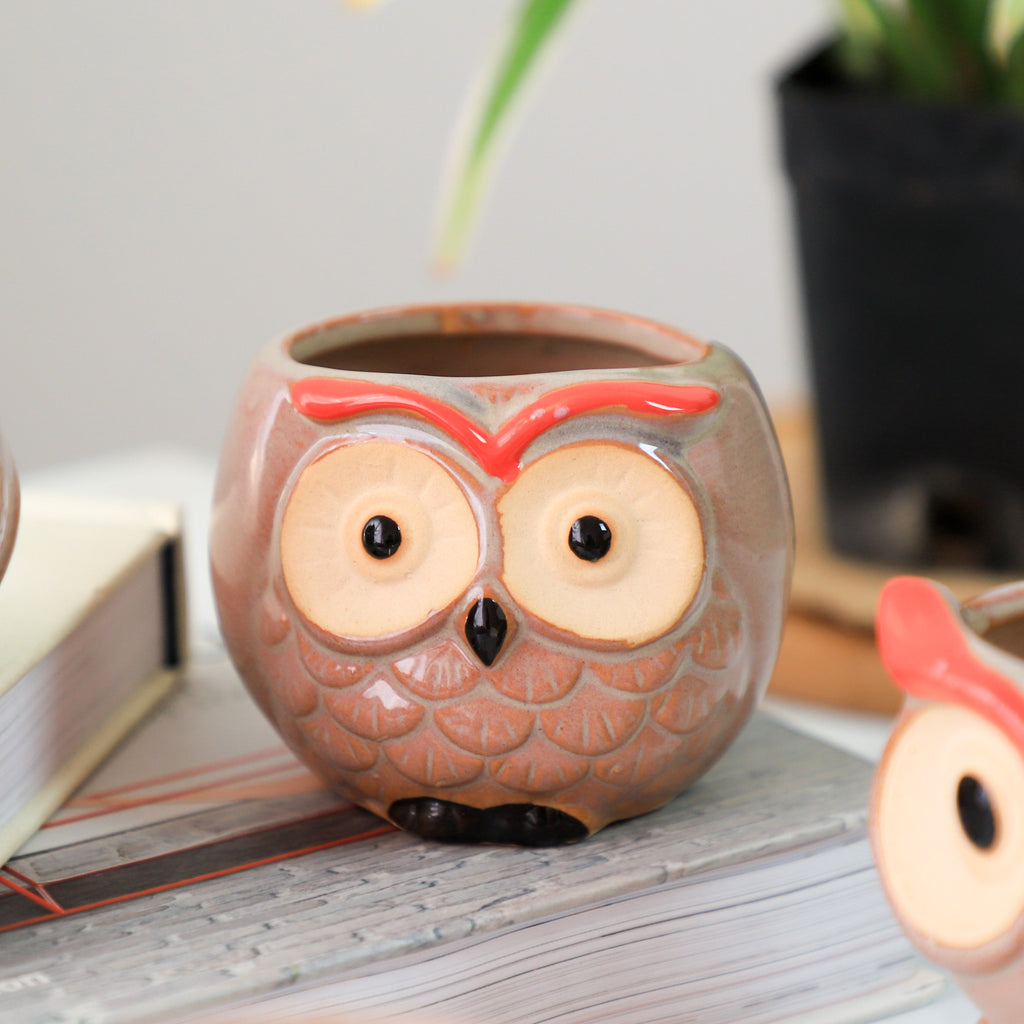 Owl Planter
