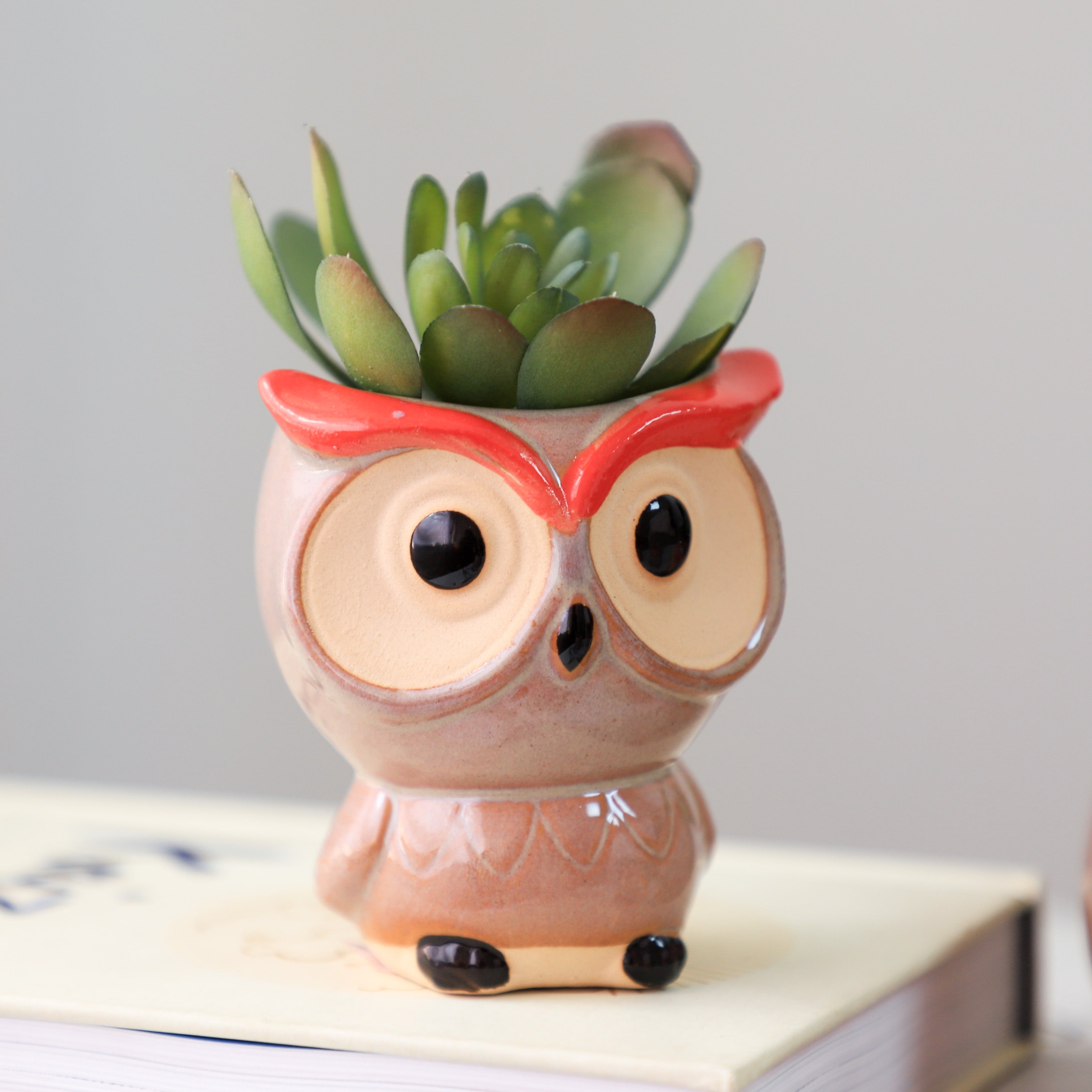 Owl Planter