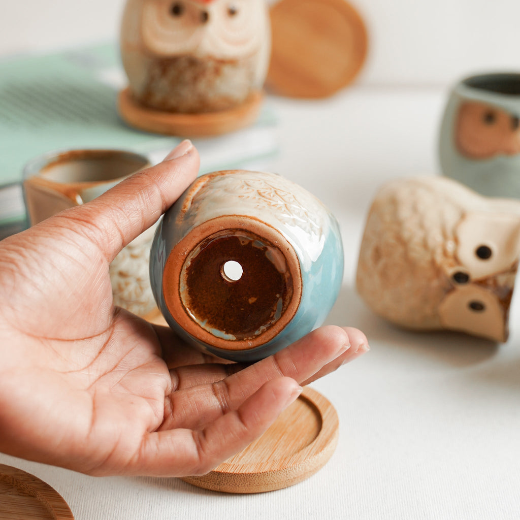 Owl Planters Set of 6