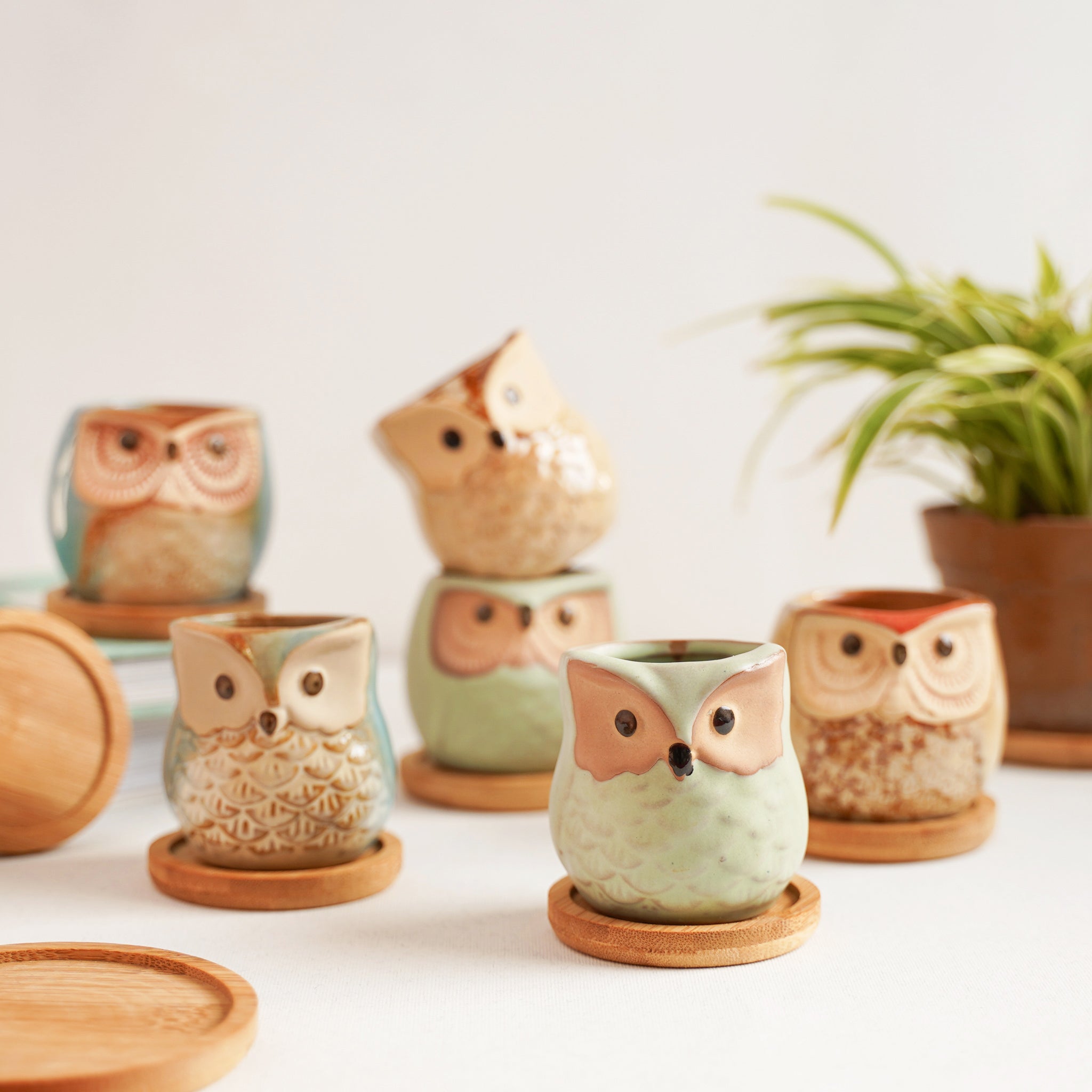 Owl Planters Set of 6