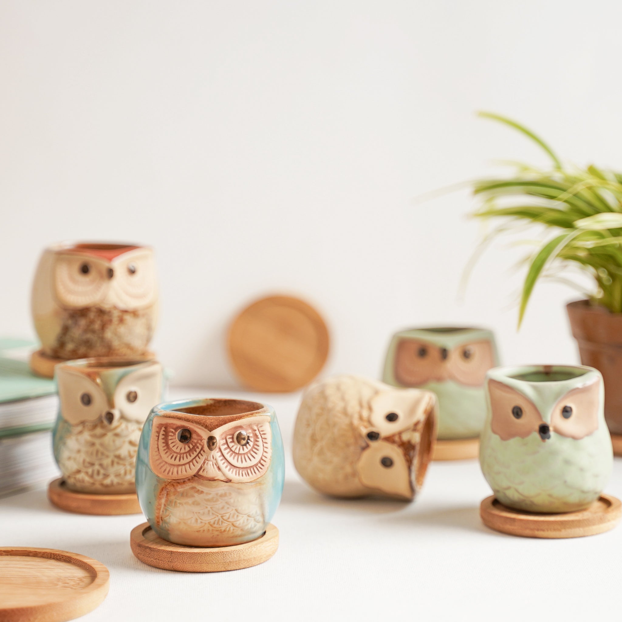 Owl Planters Set of 6