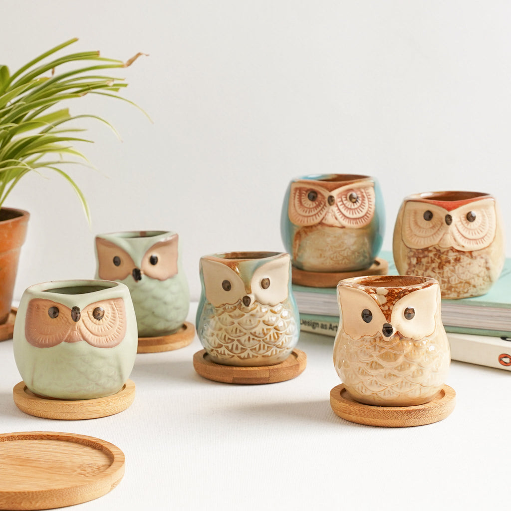 Owl Planters Set of 6