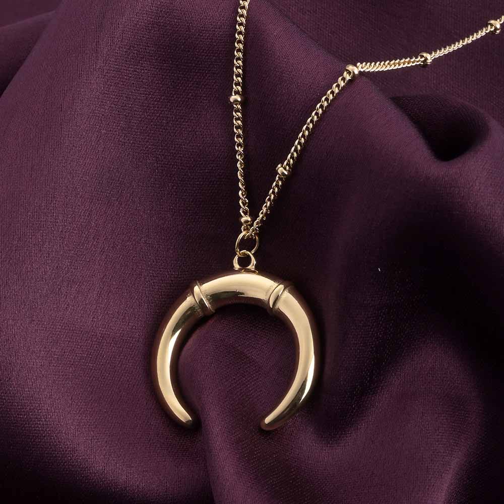 Delicate Horn Necklace