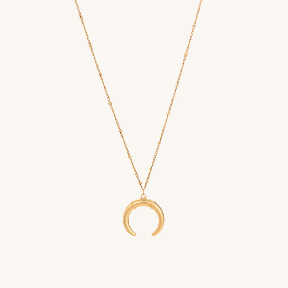 Delicate Horn Necklace
