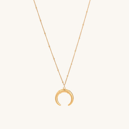 Delicate Horn Necklace
