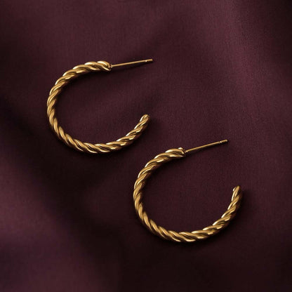 Spiral Arc Earrings