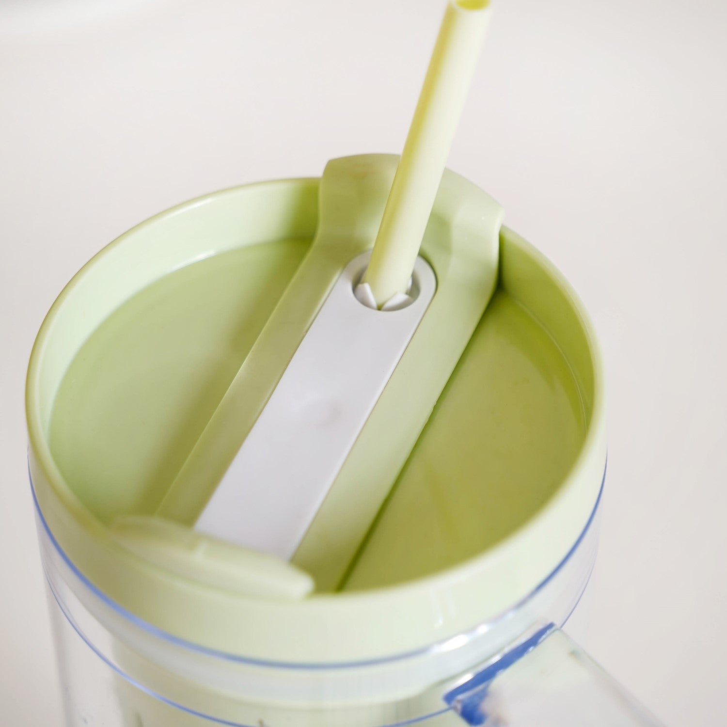 Citrify Travel Sipper Bottle With Infuser Forest Mint 1210ml