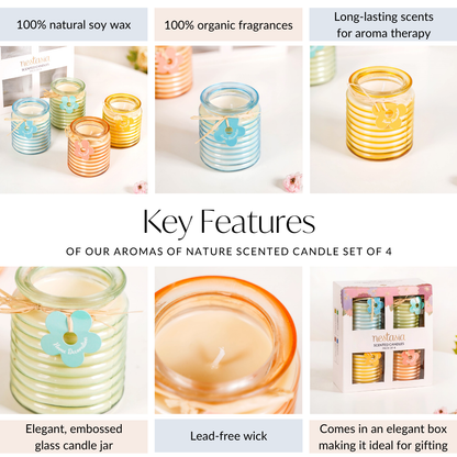 Aromas Of Nature Scented Candle Gift Set Of 4
