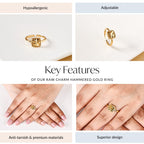 Raw Charm Hammered Gold Ring