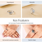 Raw Charm Hammered Silver Ring