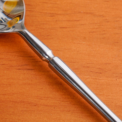 Minimalist Stainless Steel Spoon Set Of 6