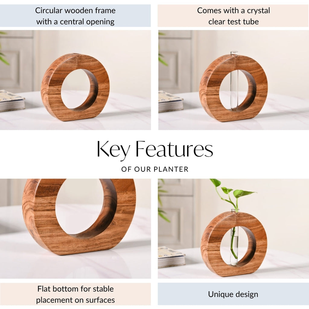 Ring Table Top Test Tube Wooden Vase