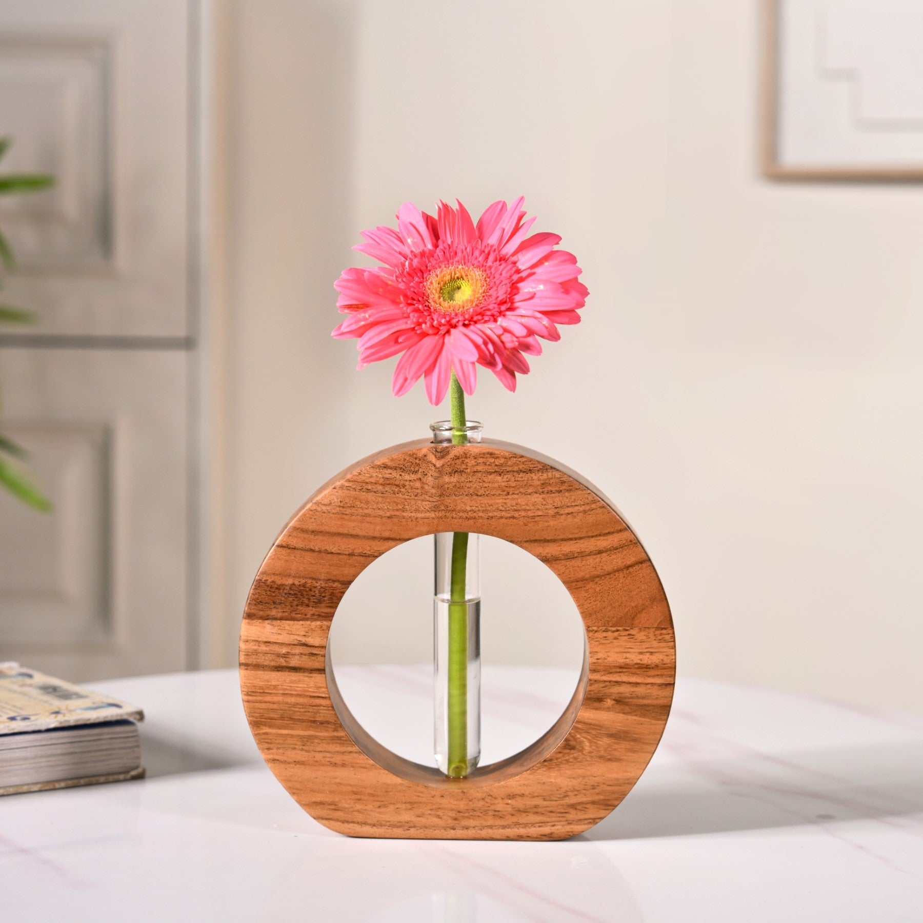 Ring Table Top Test Tube Wooden Vase