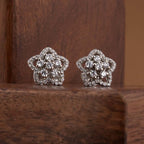 Frozen Stardust 925 Sterling Silver Studs