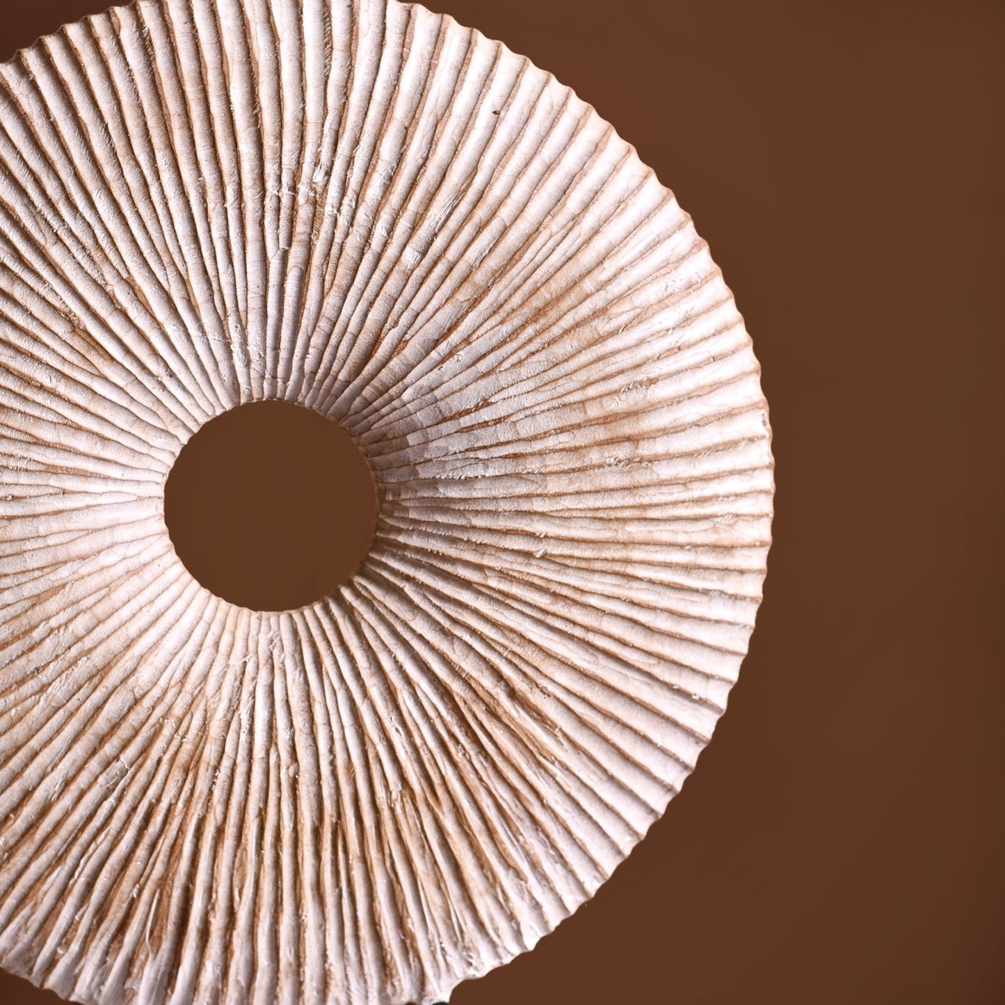Modern Round Accent Decor