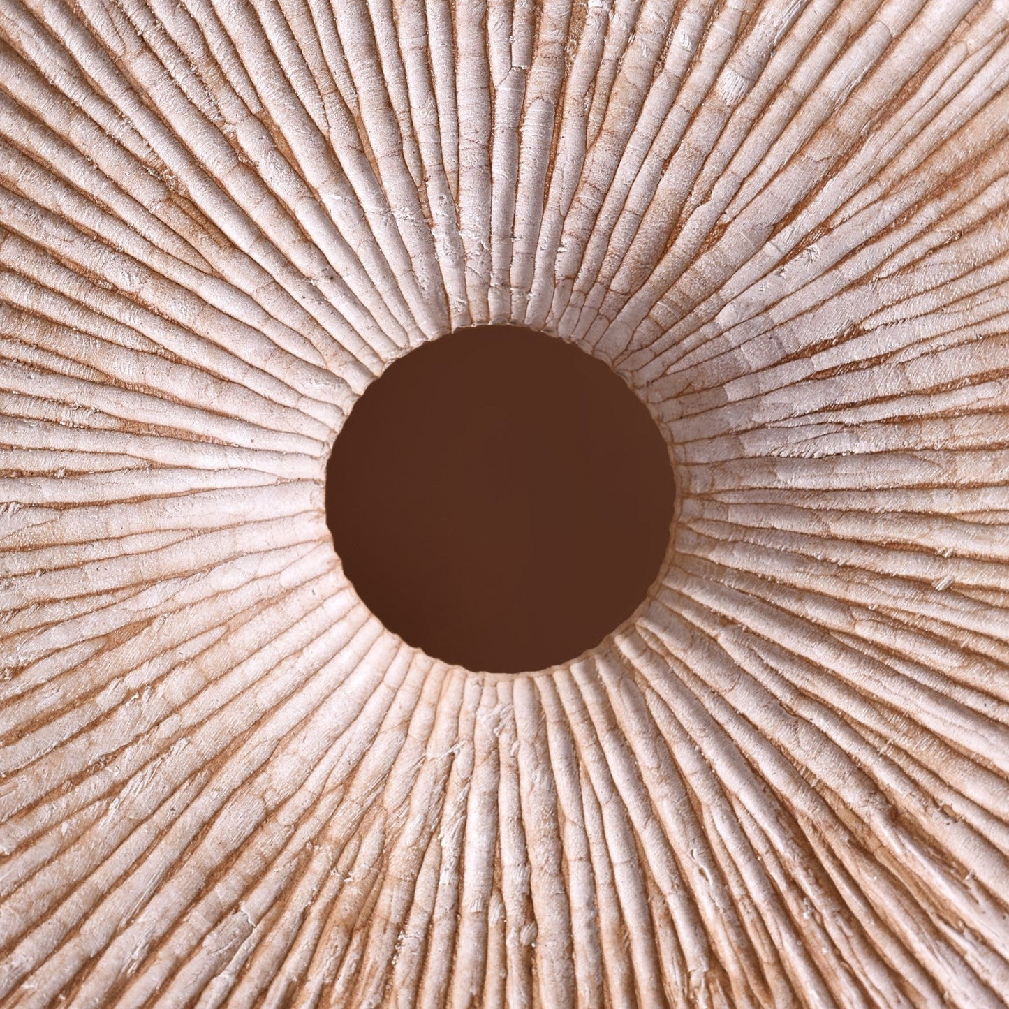 Modern Round Accent Decor