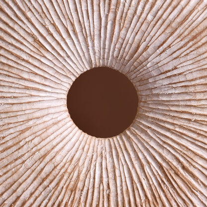 Modern Round Accent Decor