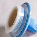 Bird Glass Jar With Blue Ceramic Lid Set Of 2 1500ml