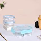 All Fresh Glass Tiffin And Insulated Bag Set Of 4