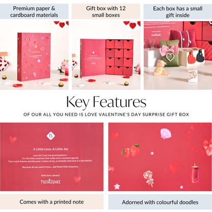 All You Need Is Love Valentine's Day Surprise Gift Box With 12 Gifts