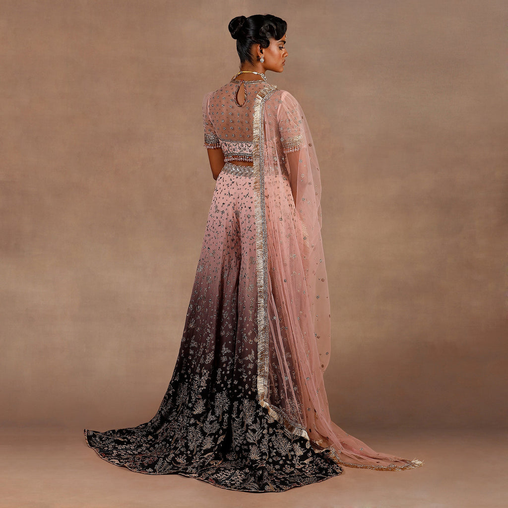 Blush Pink - Black Ombre Sharara Set