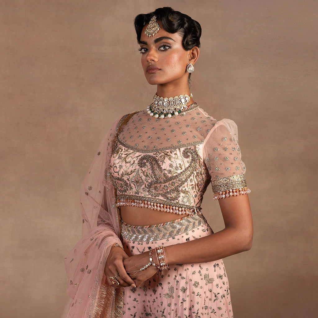Blush Pink - Black Ombre Sharara Set