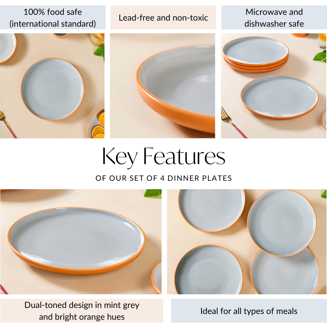 Orange Zoella Set Of 4 Dinner Plates 10 Inch