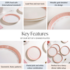 Pink Azo Dinner Plate Set Of 4 10 Inch