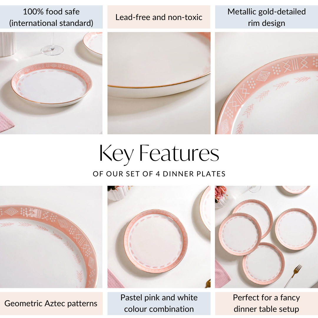 Pink Azo Dinner Plate Set Of 4 10 Inch