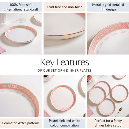 Pink Azo Dinner Plate Set Of 4 10 Inch