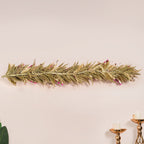 Pink Eco Friendly Decorative Dried Flower Set Of 2