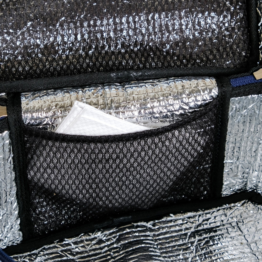 Blue Checkered Insulated Lunch Bag