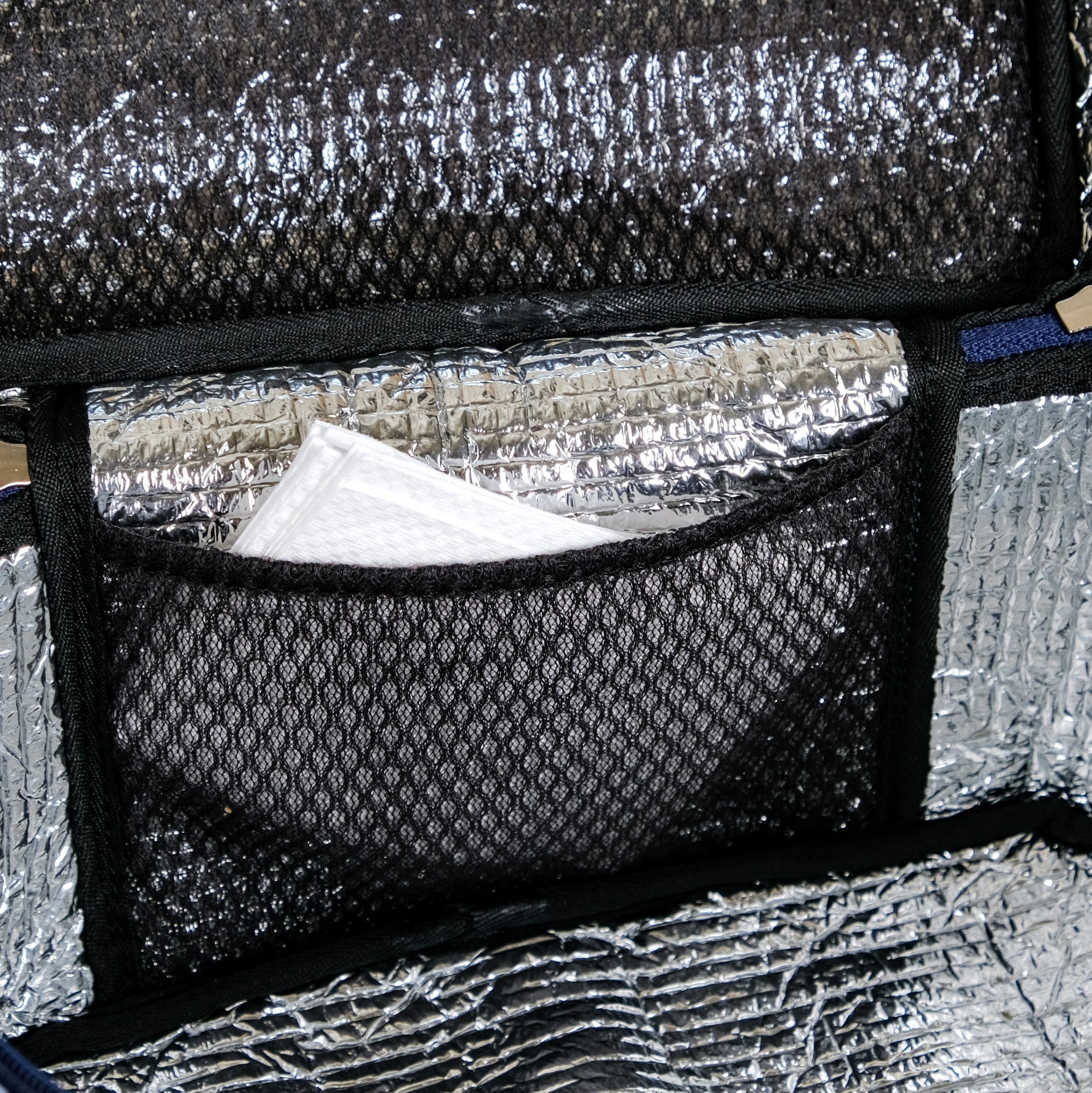 Blue Checkered Insulated Lunch Bag