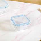 Airtight Glass Lunch Box Set Of 3