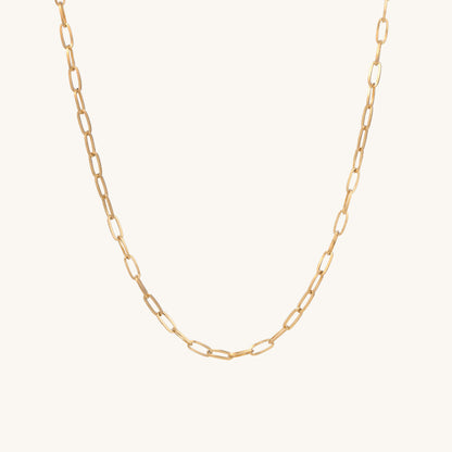 Paperclip Chain Necklace