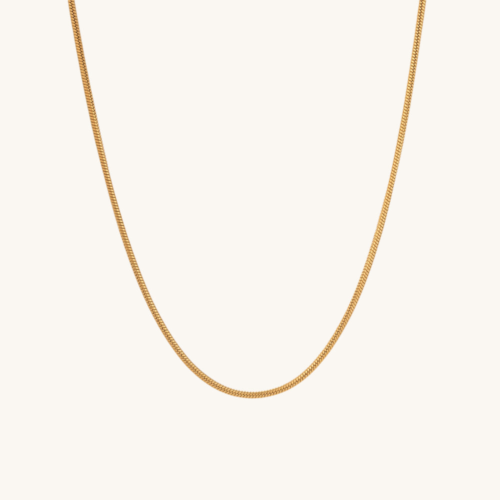 Glossy Chain Necklace