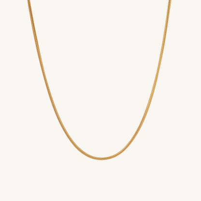 Glossy Chain Necklace