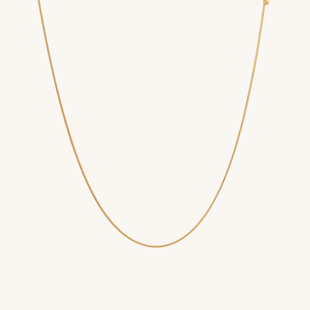 Glossy Chain Necklace