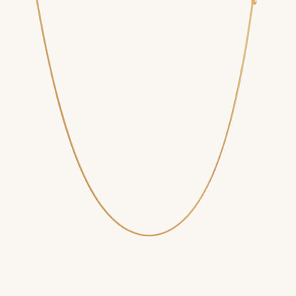 Glossy Chain Necklace