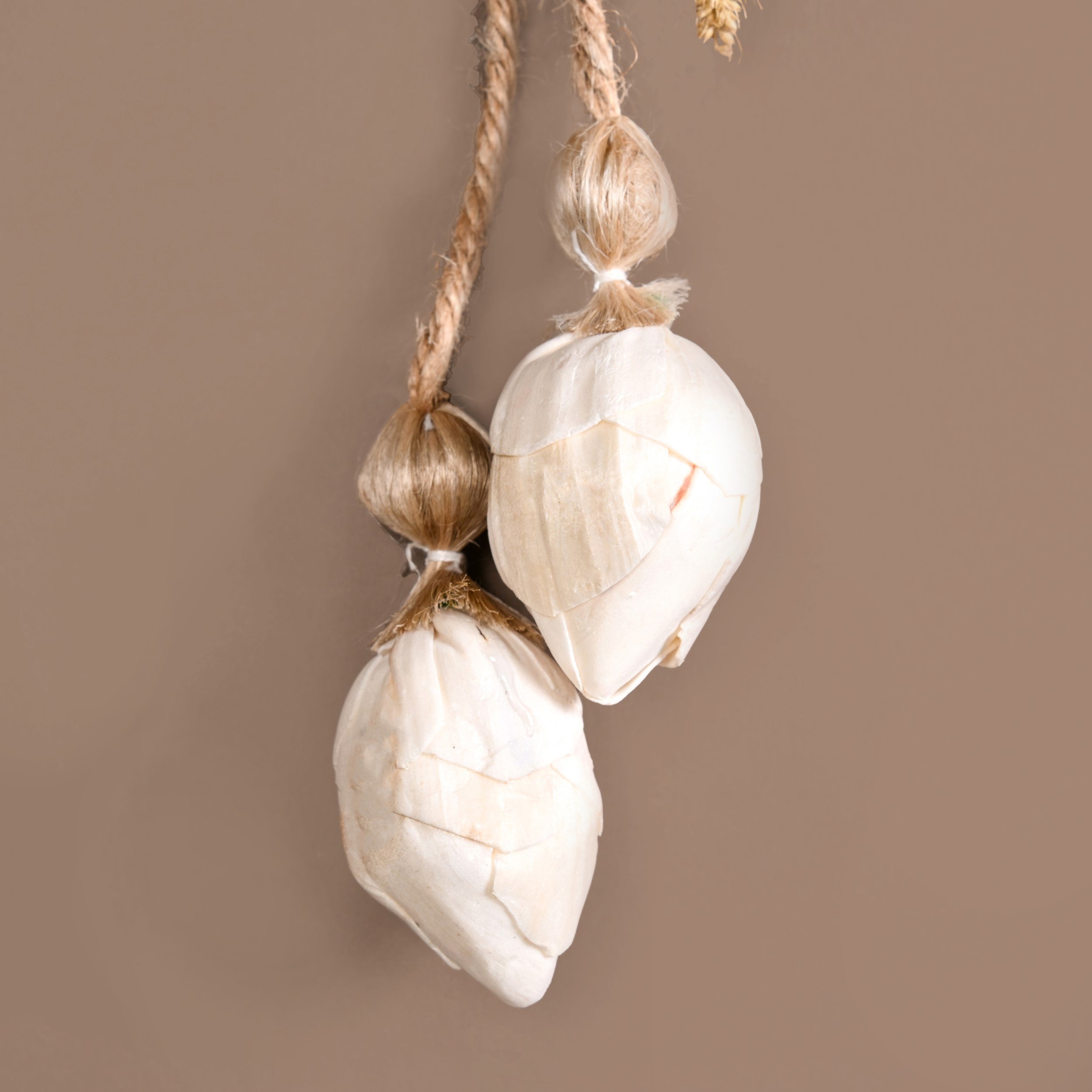 Organic Luxe Bloom Festive Wall Hanging Set Of 2