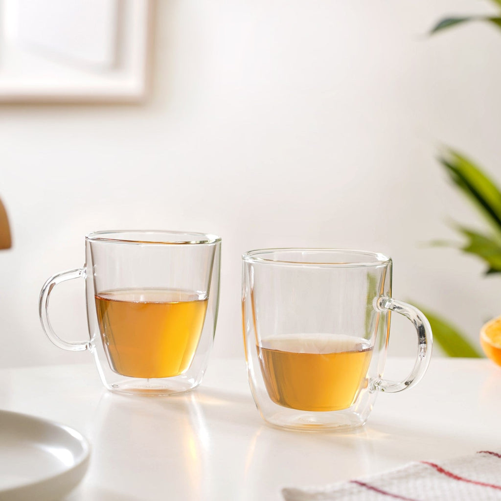 Double Wall Transparent Glass Cup Set Of 2 280ml